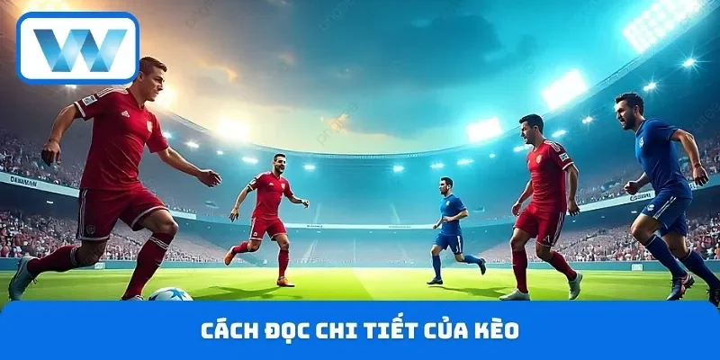 Cách đọc chi tiết của kèo