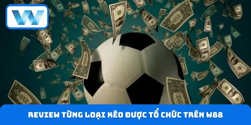 Cược Cup C1 W88 - Cập Nhật Nhanh Tỷ Lệ Kèo Chuẩn Xác 4 Review cách đọc kèo Cup C1 chuẩn trên nền tảng